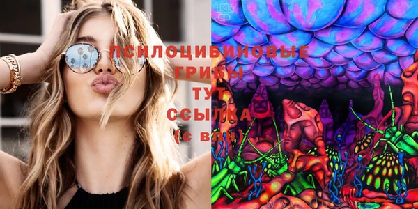 тгк Аркадак