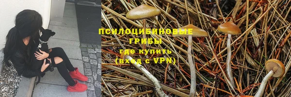 прущая мука Алексин