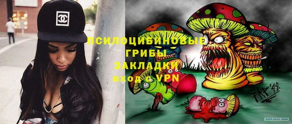 тгк Аркадак