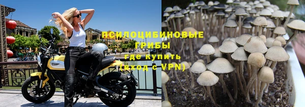прущая мука Рославль