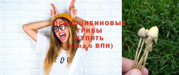a pvp Алзамай